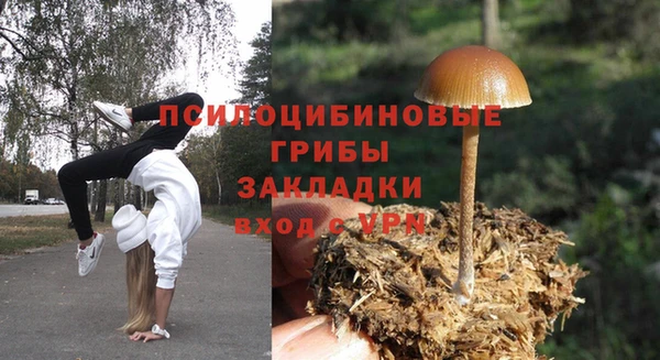 дживик Балахна